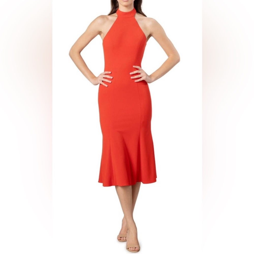DRESS THE POPULATION - Amara Midi Dress in Poppy